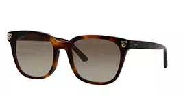 Cartier CT0143SA 002 s56
