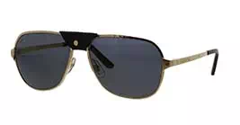 Kacamata Cartier CT0165S 007 s60
