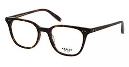 Moscot Loren Tortoise s49