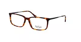 Paul Frank PFF8066 4020 s54