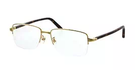 Cartier CT0217OA 003 s57