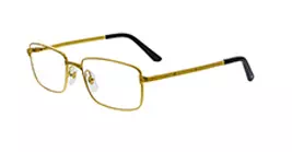 Cartier CT0204O 001 s56