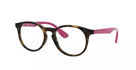 Ray-Ban RB1554 3729 s48