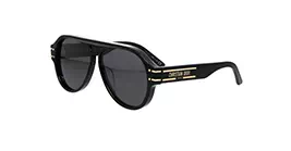 Dior Signature A1U CD40047U 10A0 s58