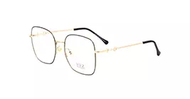 XYZ S31722 C6 s55