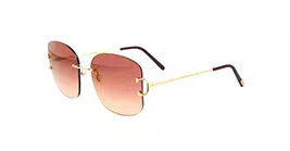 Cartier CT0037RS 002 s60