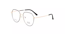 XYZ 6012 C3 s55