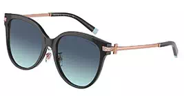Tiffany&co TF4193-B-F 8001/9S s55