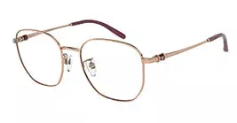 Emporio Armani EA1134D 3011 s53