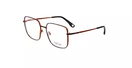 Paul Frank PFF8196 4040 s55