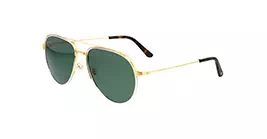 Cartier CT0325S 006 s59