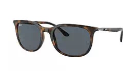 Ray-Ban RB4386F 710/R5 s55