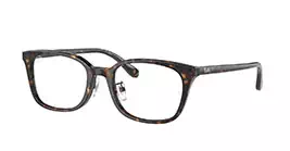 Ray-Ban RB5407D 2012 s52