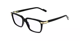 Cartier CT0220S 006 s55