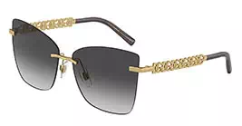 Dolce & Gabbana 2289 02/8G s59
