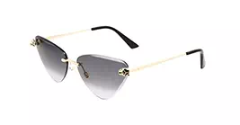 Cartier CT0399S 001 s62