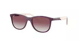 Ray-Ban RJ9077SF 7134/8G s49