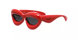Loewe LW40097I 66A s55