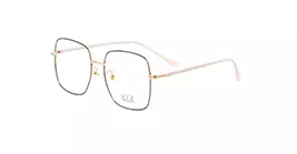 XYZ 1006 C4 s54