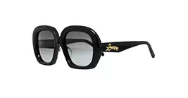 Loewe LW40113U 01B s53