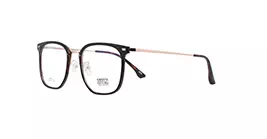 XYZ LM310 C29 s55