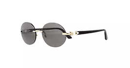 Cartier CT0005CS 033 s58