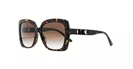 Michael Kors MK2213F 3006/13 s58