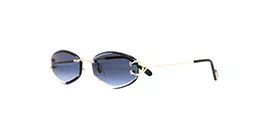 Cartier CT0467S 002 s57