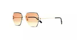 Cartier CT0466S 004 s58