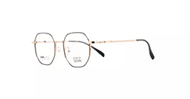 XYZ 1067 C22 s49
