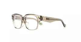 Loewe LW50091F 096 s51