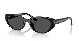 Ray-Ban RB4457D 6677/87 s55