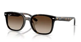 Ray-Ban RB4461D 710/13 s64