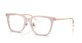 Kacamata Ray-Ban RB5442D 8438 s52