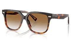 Brunello Cucinelli BC4010S 1028/GQ s56
