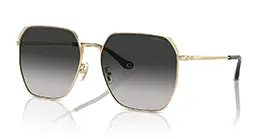 Coach HC7165D 9005/3C s60