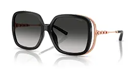 Coach HC8423U 5002/3C s56