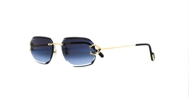 Cartier CT0468S 002 s58