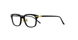 Linda Farrow LF94A C1 s52 Diller