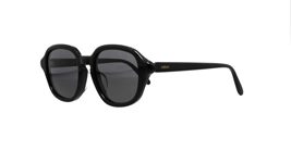 Loewe LW40163F 01A s51