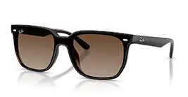 Ray-Ban RB4466D 714/13 s47
