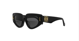 Loewe LW40160F 01A s53