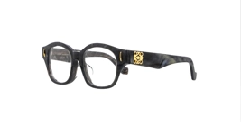 Loewe LW50096F 063 s50