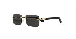 Cartier CT0579S 005 s57