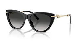 Tiffany&co TF4253-F 8001/3C s55
