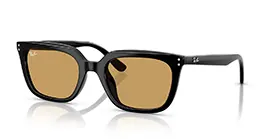Kacamata Ray-Ban RB4439D 901/73 s54
