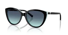 Tiffany&co TF4251-F 8055/9S s56