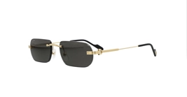 Cartier CT0577S 001 s55