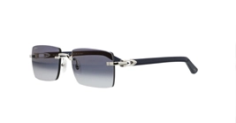 Cartier CT0579S 008 s57