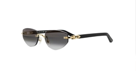 Cartier CT0580S 001 s56